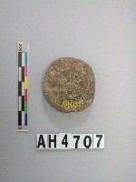 藏品(小砝碼型石網墜)的圖片